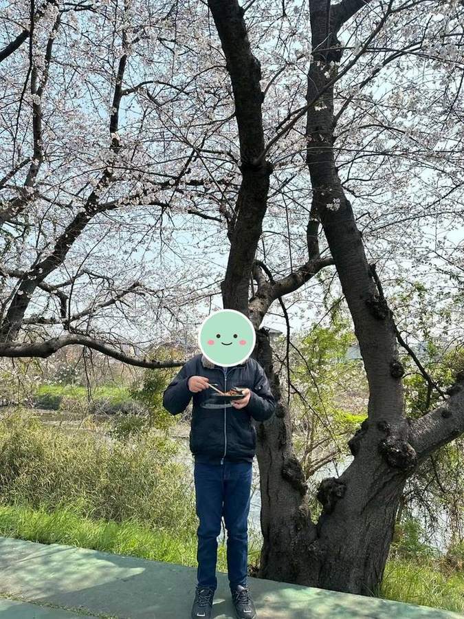 桜の下でお弁当を食べる様子